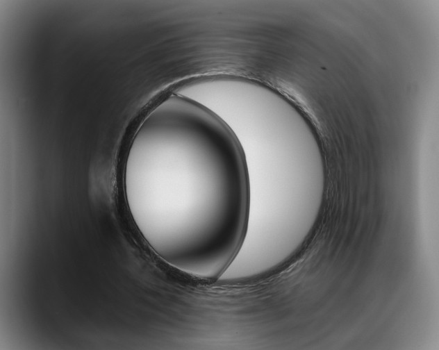 X0000089370532200706150845
