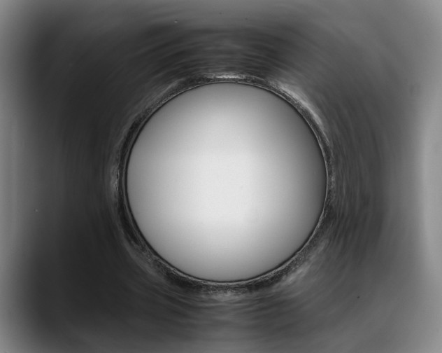 X0000089370533200706150845
