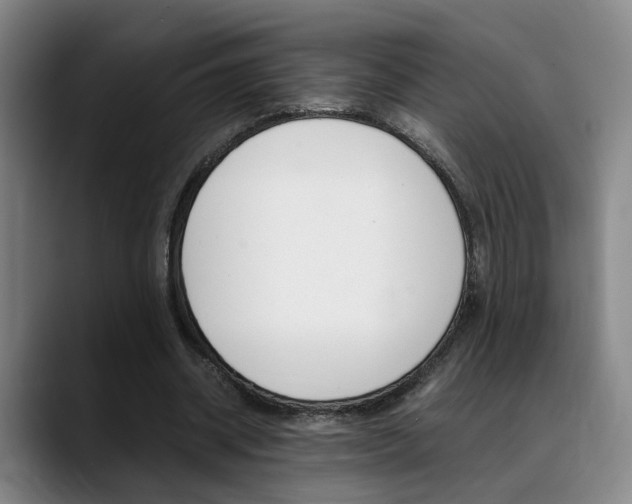 X0000089370534200706150845