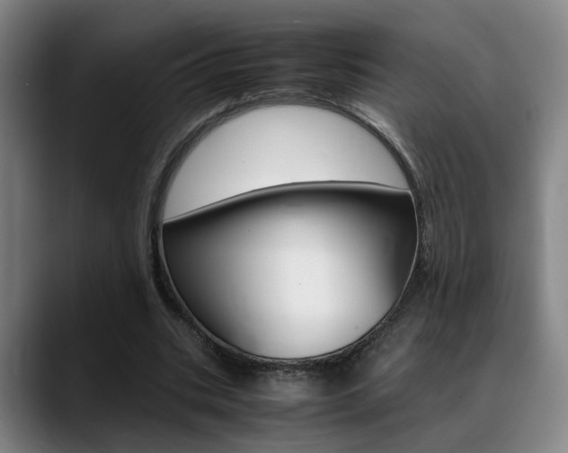 X0000089370535200706150845