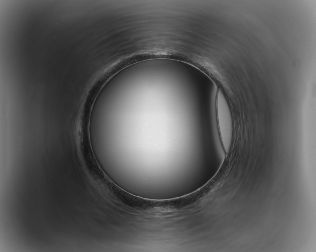 X0000089370536200706150845