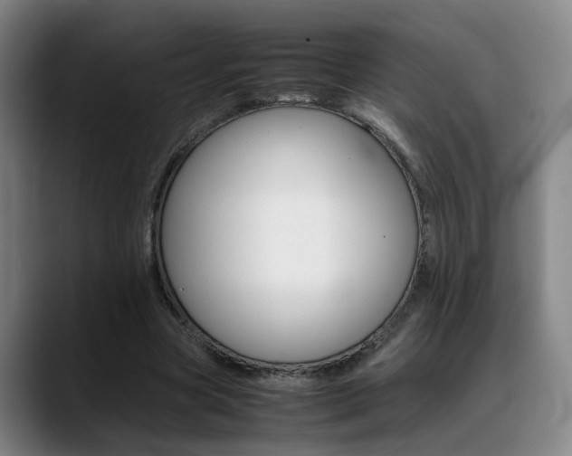 X0000089370537200706150845
