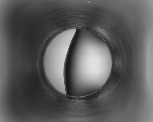 X0000089370539200706150845