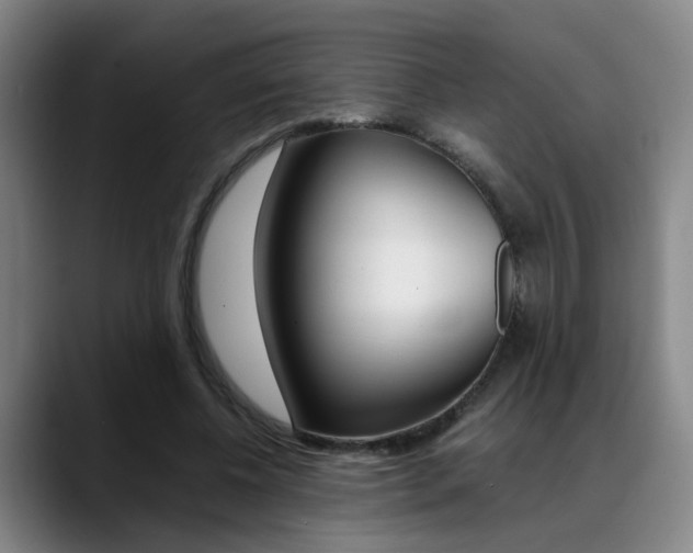X0000089370540200706150845