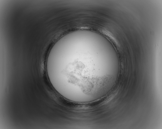 X0000089370541200706150845