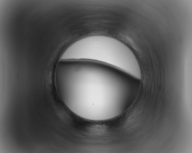 X0000089370543200706150845