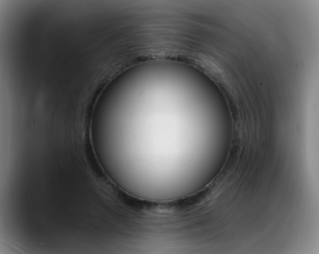 X0000089370546200706150845