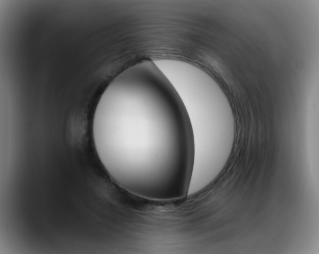 X0000089370548200706150845