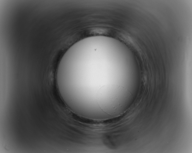 X0000089370551200706150845