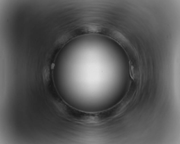 X0000089370552200706150845