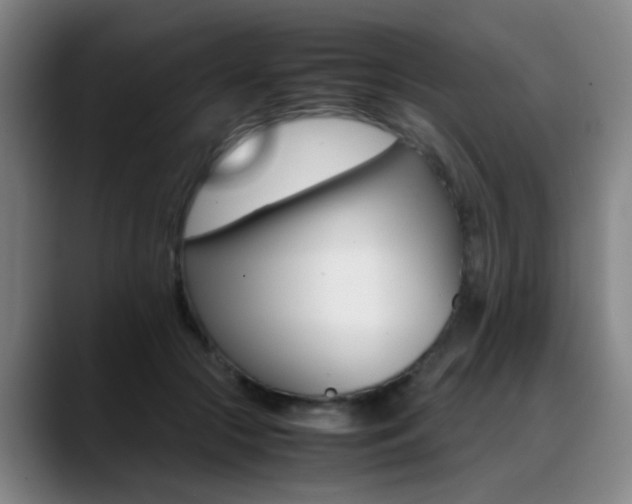 X0000089370553200706150845
