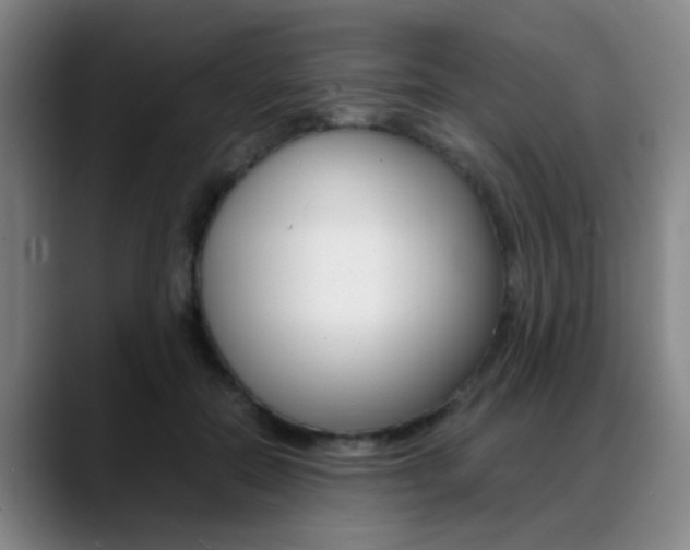 X0000089370554200706150845