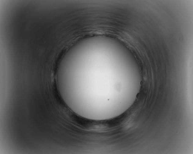 X0000089370555200706150845