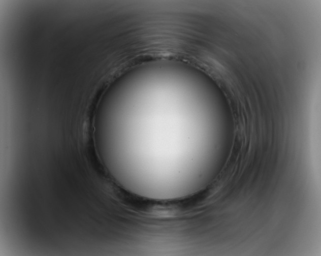 X0000089370556200706150845