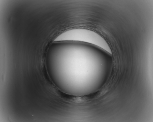 X0000089370558200706150845