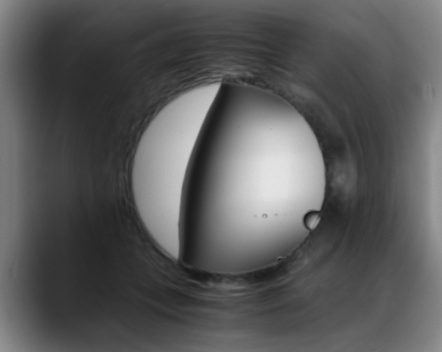 X0000089370559200706150845