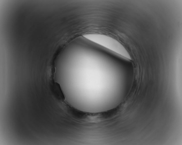 X0000089370560200706150845