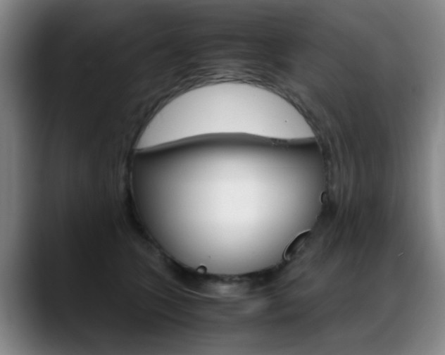 X0000089370563200706150845