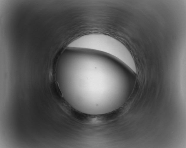 X0000089370564200706150845