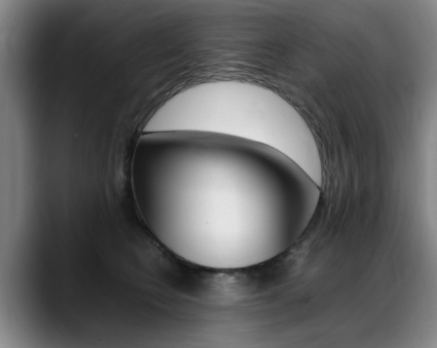 X0000089370566200706150845