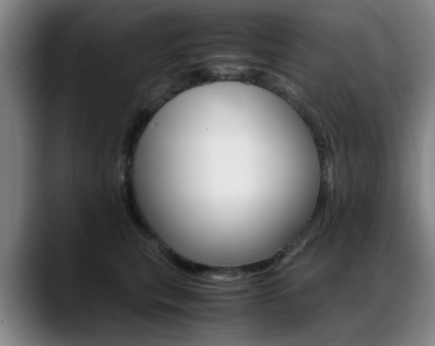 X0000089370567200706150845