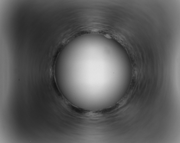 X0000089370568200706150845