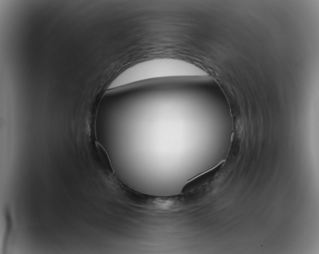 X0000089370570200706150845