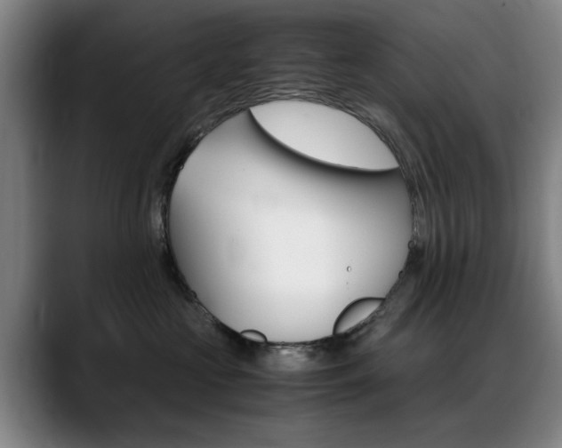 X0000089370573200706150845
