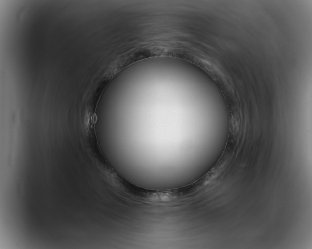X0000089370574200706150845