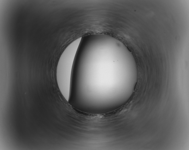 X0000089370576200706150845