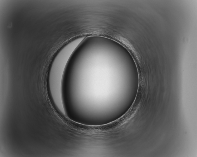 X0000089370577200706150845