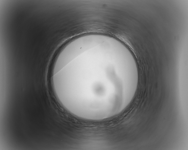 X0000089370579200706150845