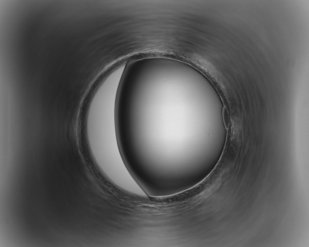 X0000089370580200706150845