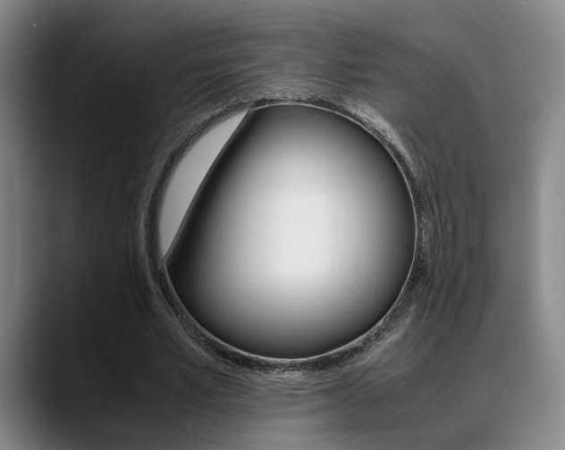 X0000089370581200706150845