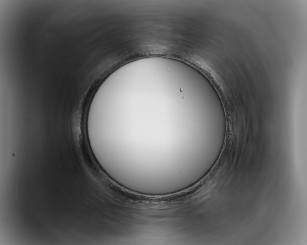 X0000089370582200706150845