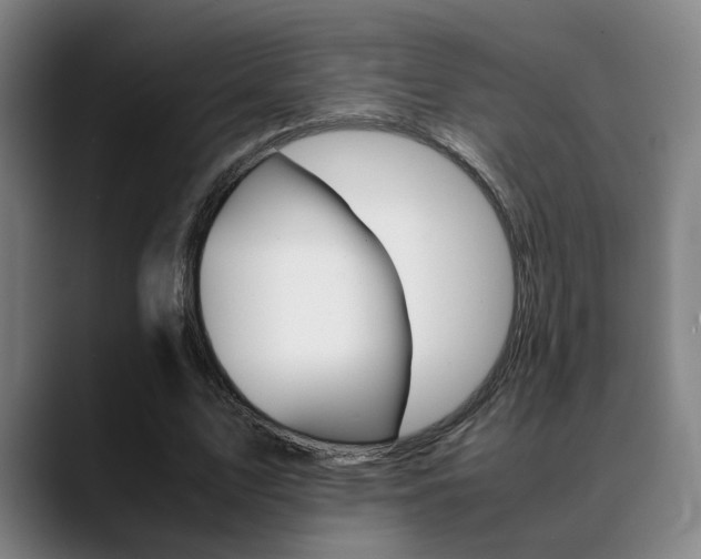 X0000089370583200706150845