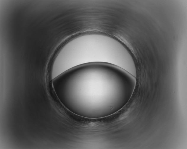 X0000089370584200706150845
