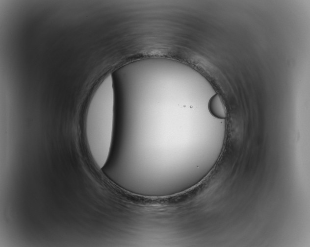 X0000089370586200706150845