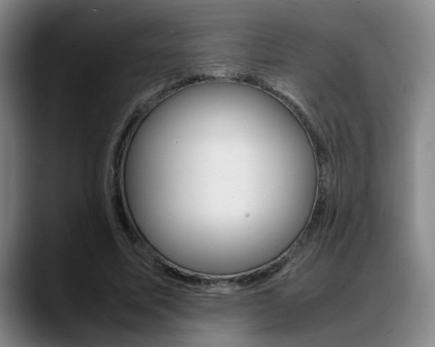 X0000089370587200706150845