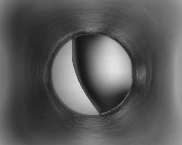 X0000089370588200706150845