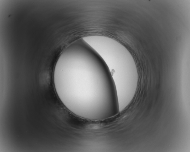 X0000089370595200706150845