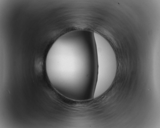 X0000089370596200706150845