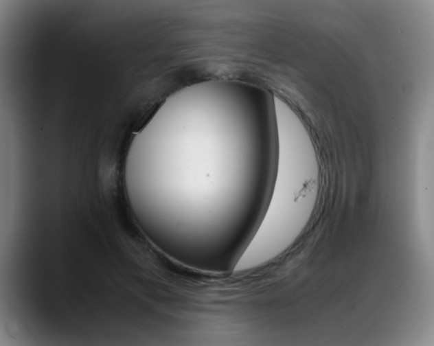 X0000089370597200706150845