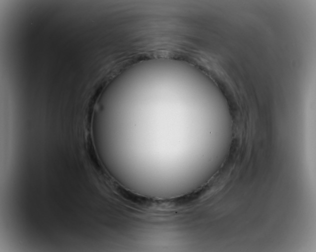 X0000089370599200706150845