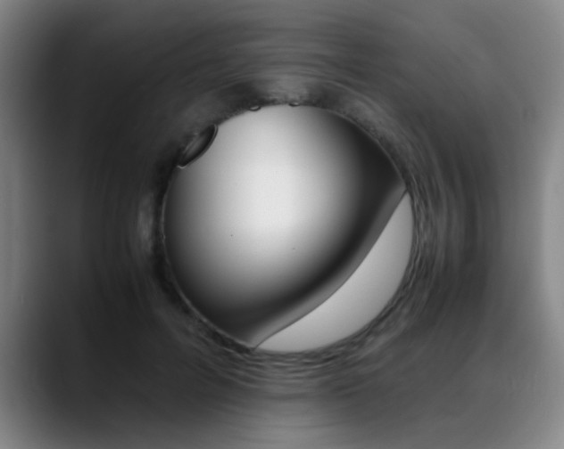 X0000089370600200706150845