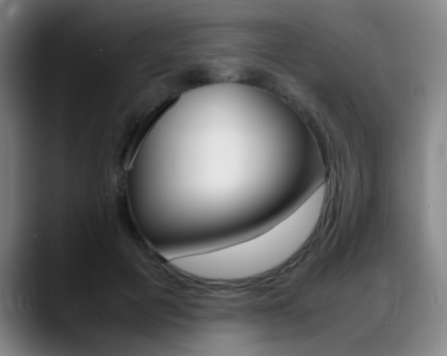 X0000089370601200706150845