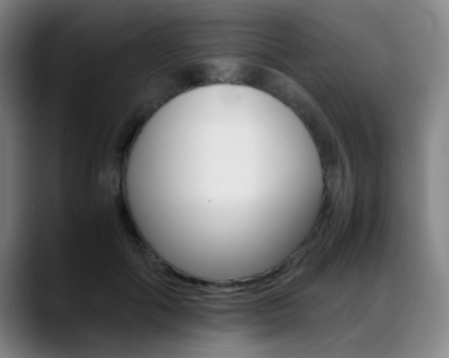 X0000089370602200706150845