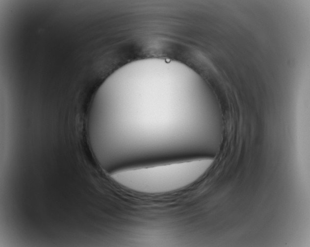 X0000089370603200706150845