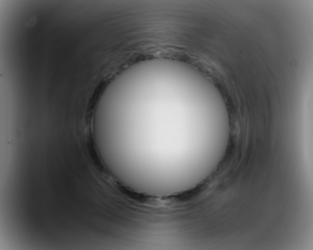 X0000089370607200706150844