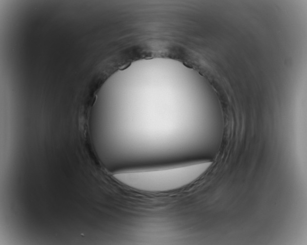 X0000089370609200706150844